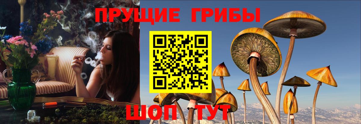 Псилоцибиновые грибы прущие грибы Красноармейск