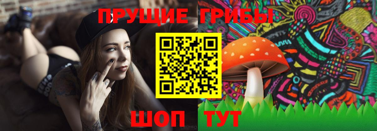 Псилоцибиновые грибы прущие грибы  продажа наркотиков  Красноармейск  Псилоцибиновые грибы GOLDEN TEACHER  Вход с VPN 
